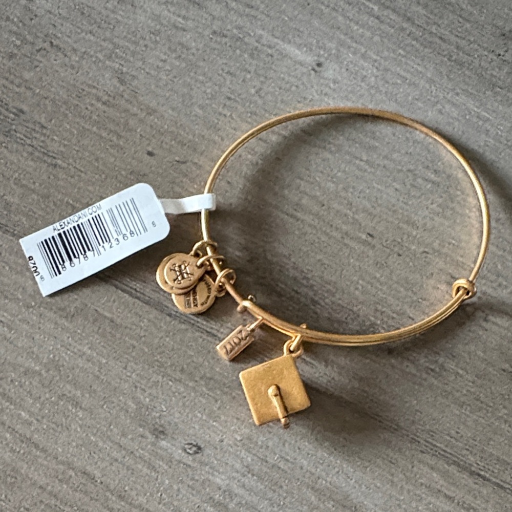 Alex & Ani  Charm Bangle Bracelet NWT